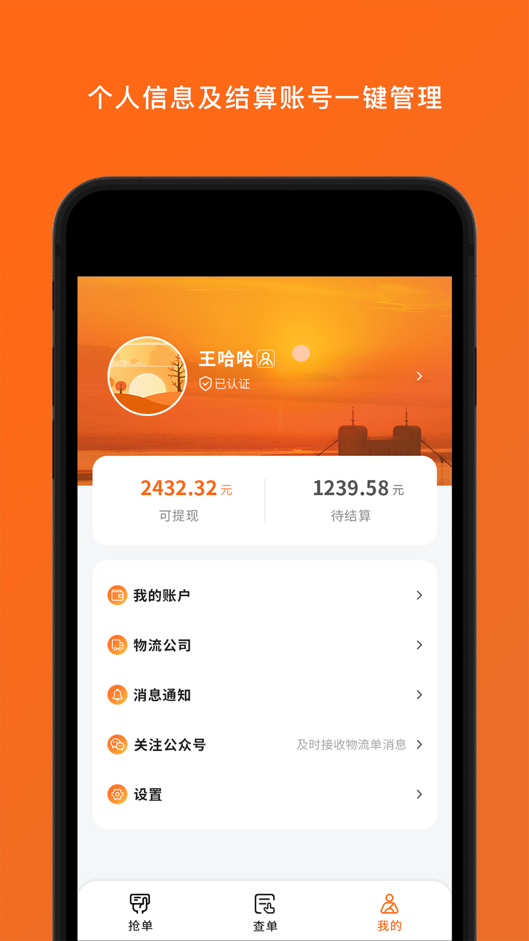 岚蝶风司机版展示图4