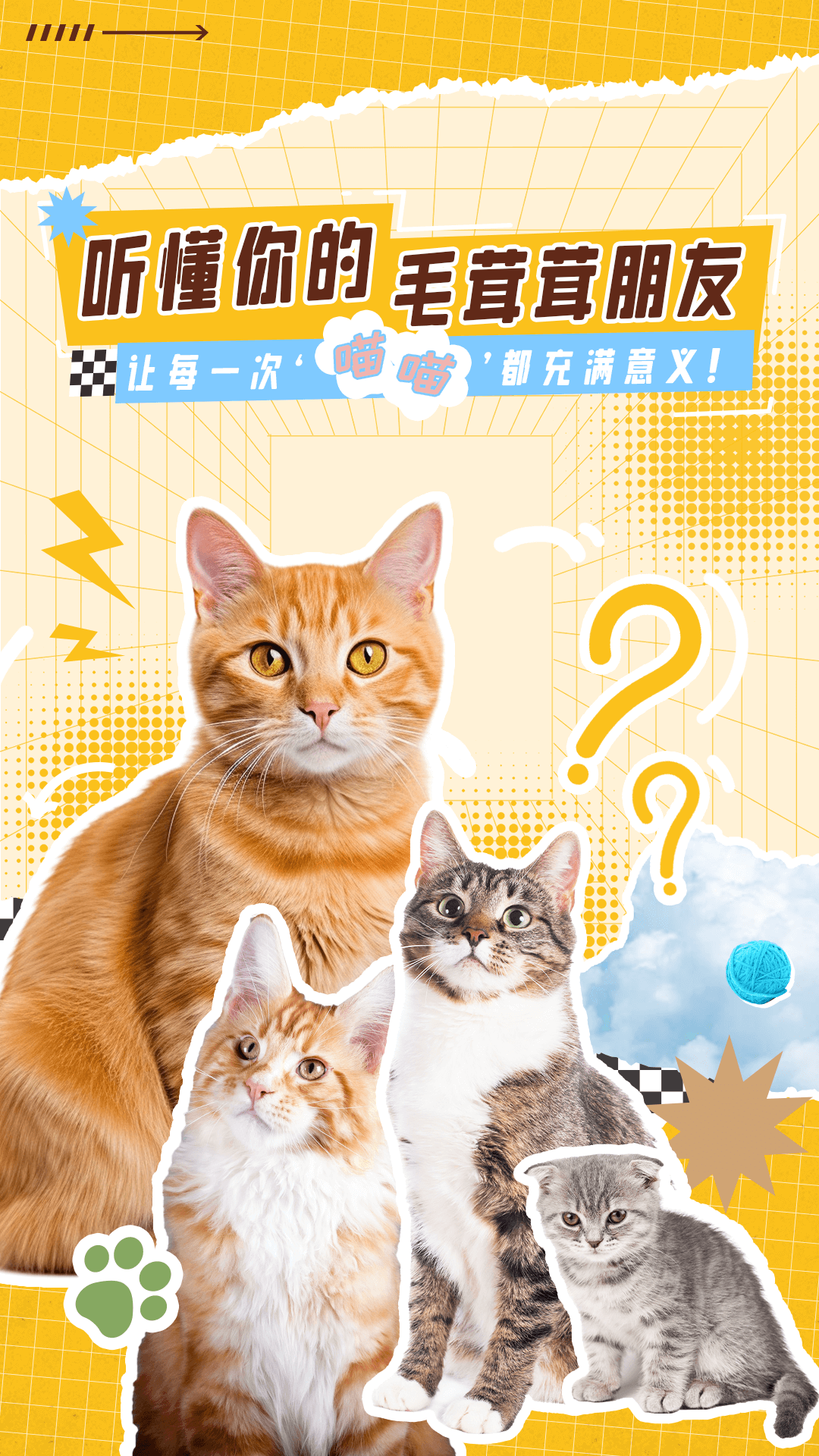 猫语翻译神器展示图1