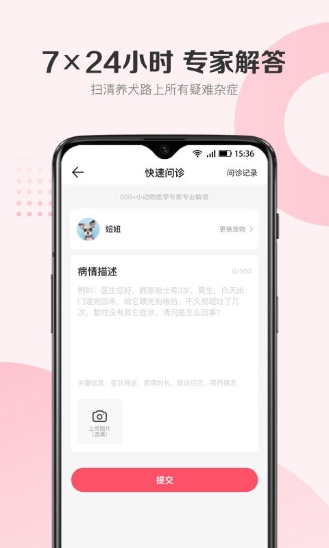 68宠物展示图2