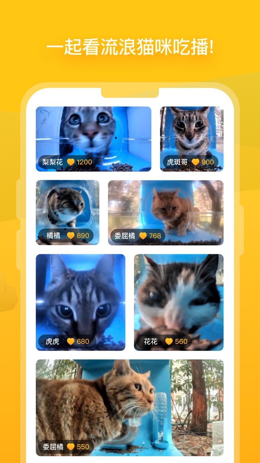 街猫app展示图3
