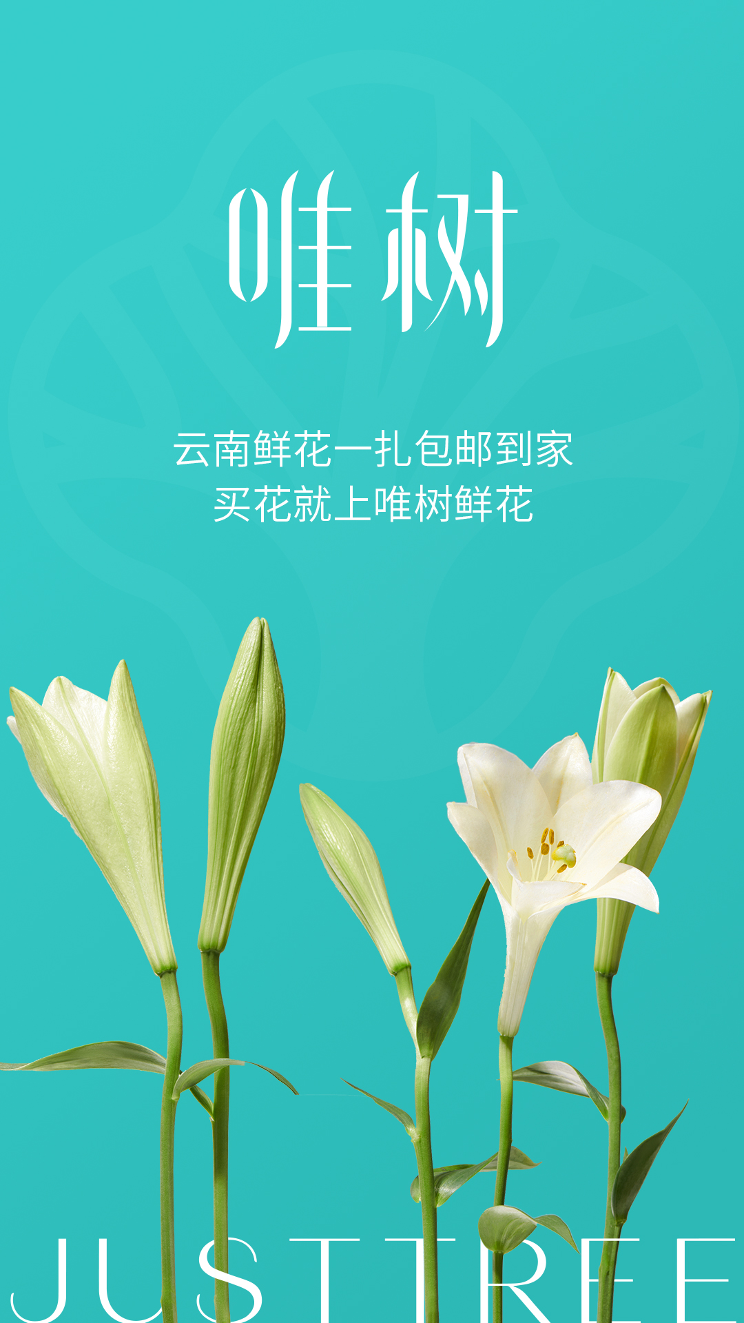 唯树鲜花app展示图1