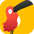 Cambly app
