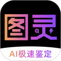 图灵鉴定app