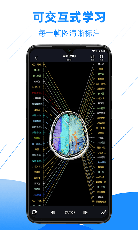 影像解剖图谱app展示图2