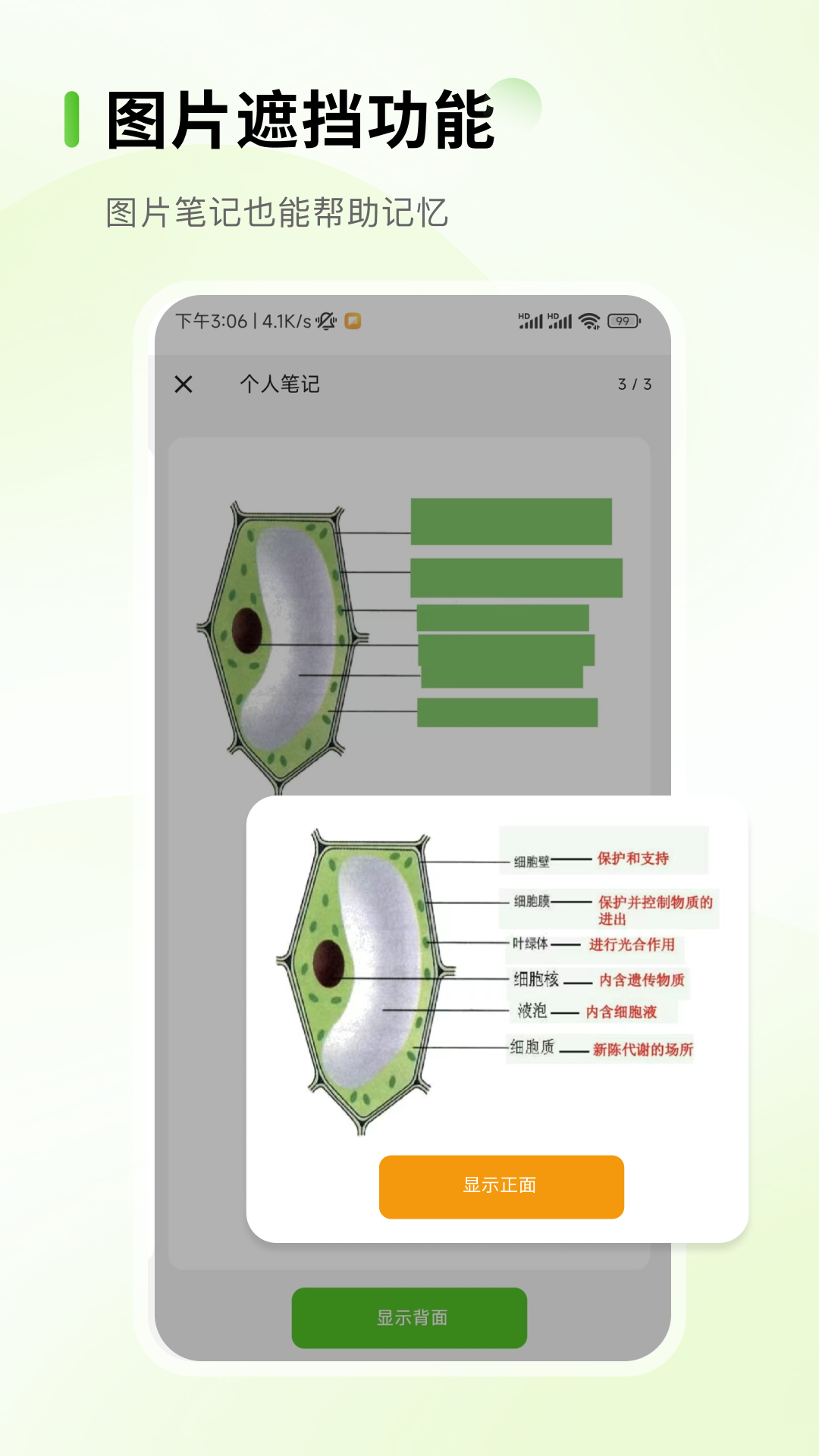 Anymo app展示图3