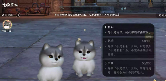 逆水寒手游宠物亲密度怎么提升 宠物亲密度提升方法