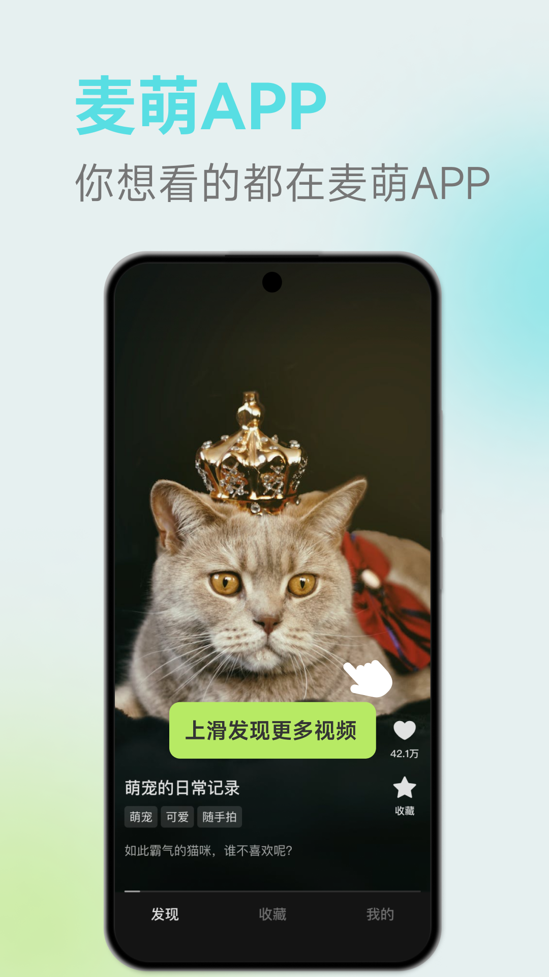 麦萌短剧展示图1