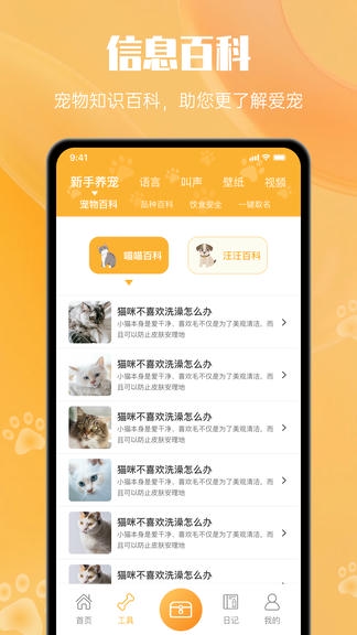 猫翻译app软件展示图4