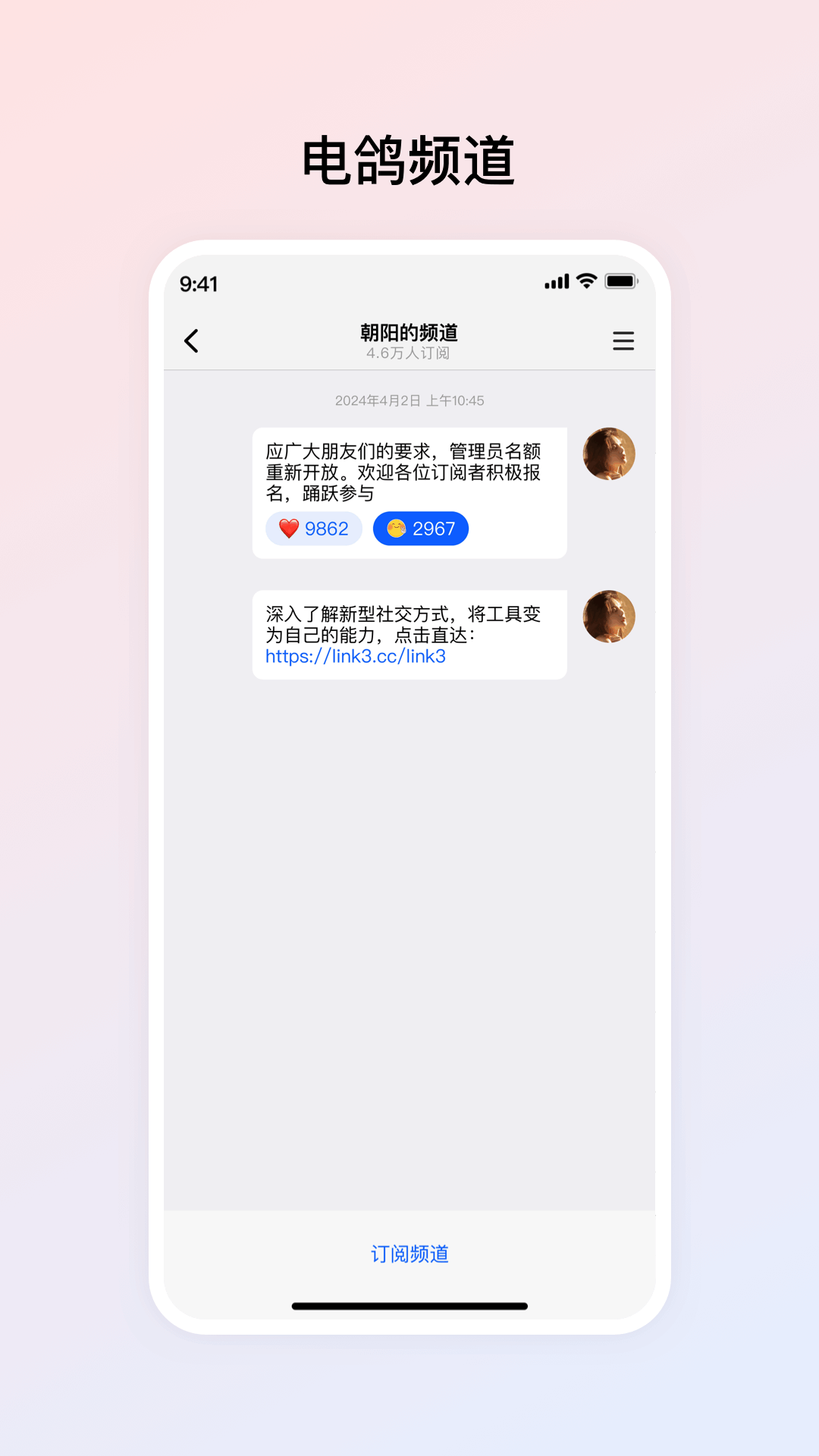 电鸽展示图3
