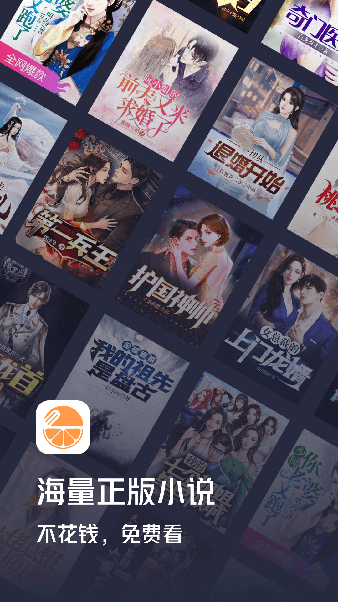 青橙小说展示图1