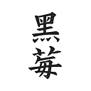 黑莓浏览器app专业版