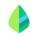 薄荷记账app会员官方版