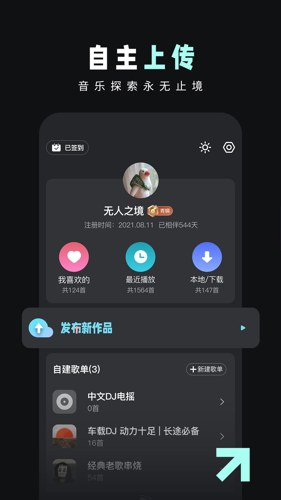 DJ音乐库展示图4