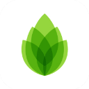 芦笋app极简版