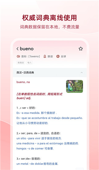 西语助手app免费词典展示图5