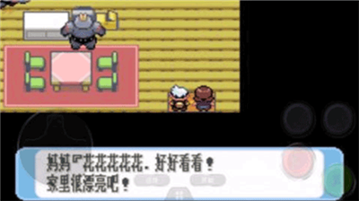 口袋妖怪红宝石展示图2