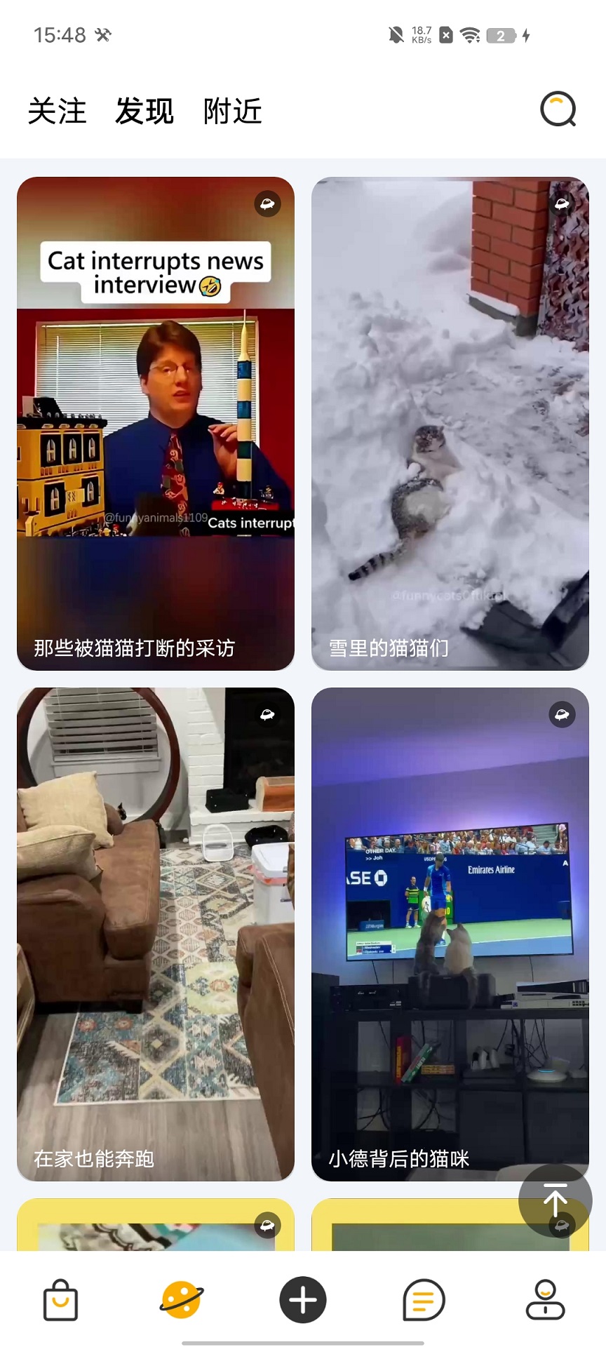 宠物元app展示图1