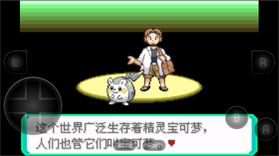 口袋妖怪究极绿宝石5展示图2