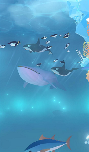 深海水族馆极地免内购修改版V1.18.4展示图2