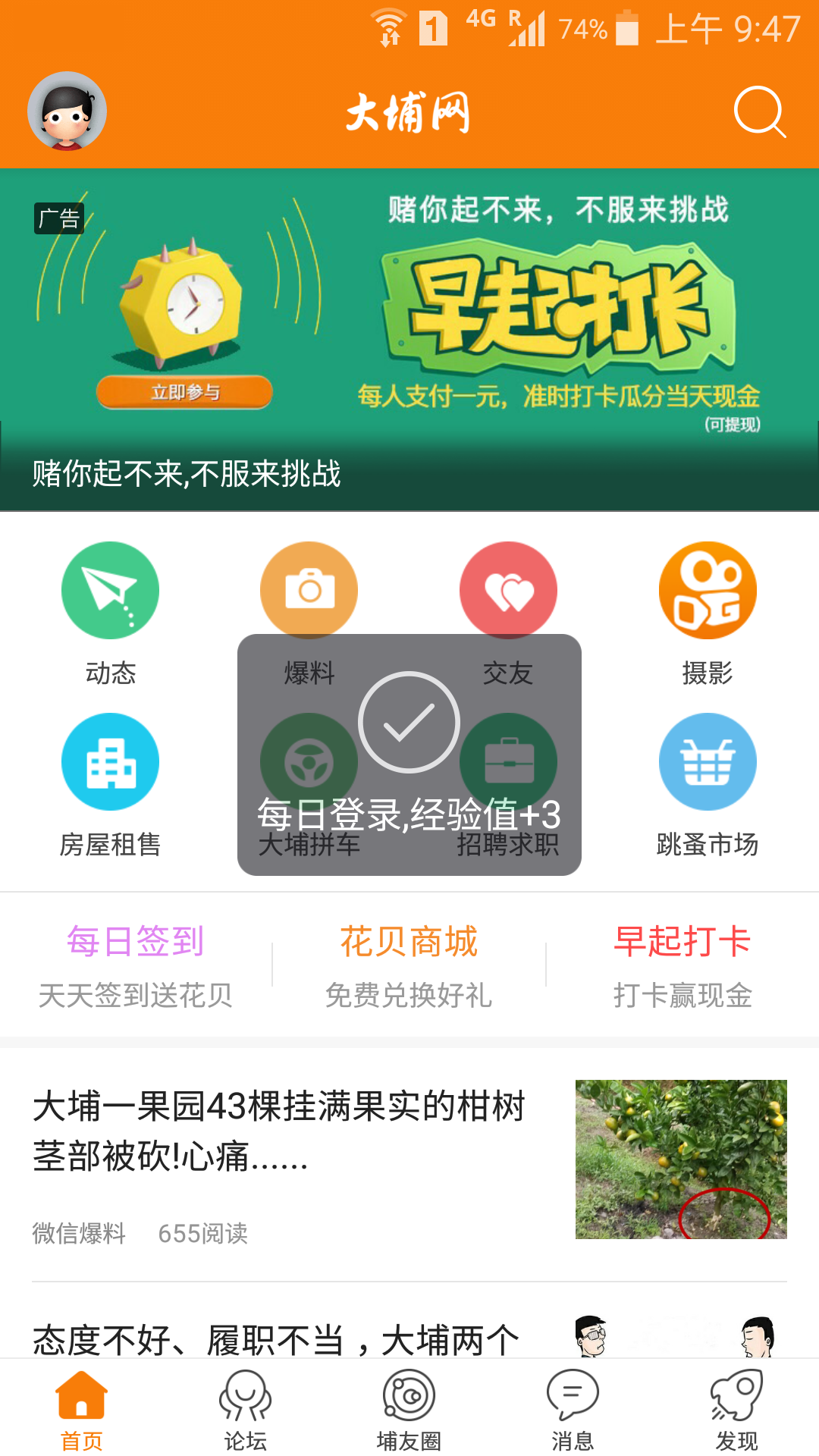 大埔网app展示图2