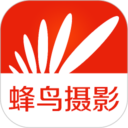 蜂鸟摄影