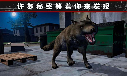 我的流浪生涯无限金币版展示图2
