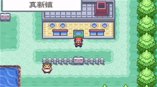 口袋妖怪火红金手指展示图3
