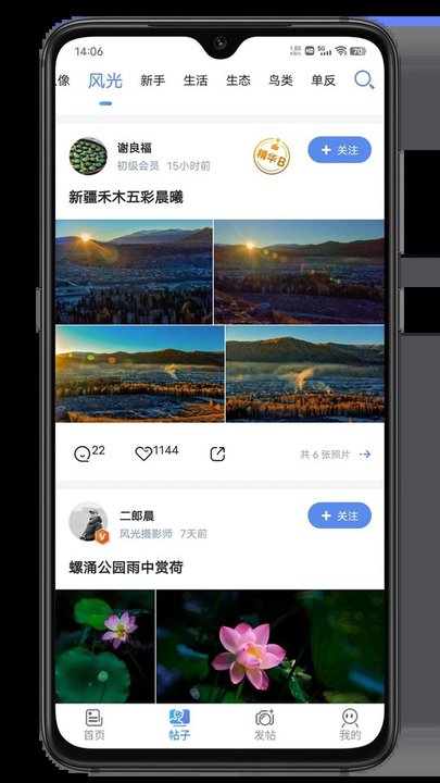 蜂鸟摄影展示图1