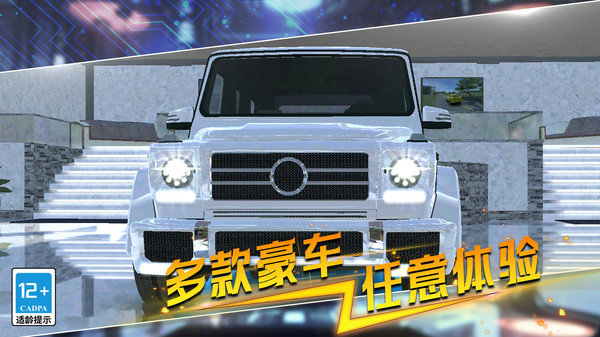 疯狂赛车模拟3D版无限金币版展示图1