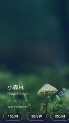 Life睡眠展示图3