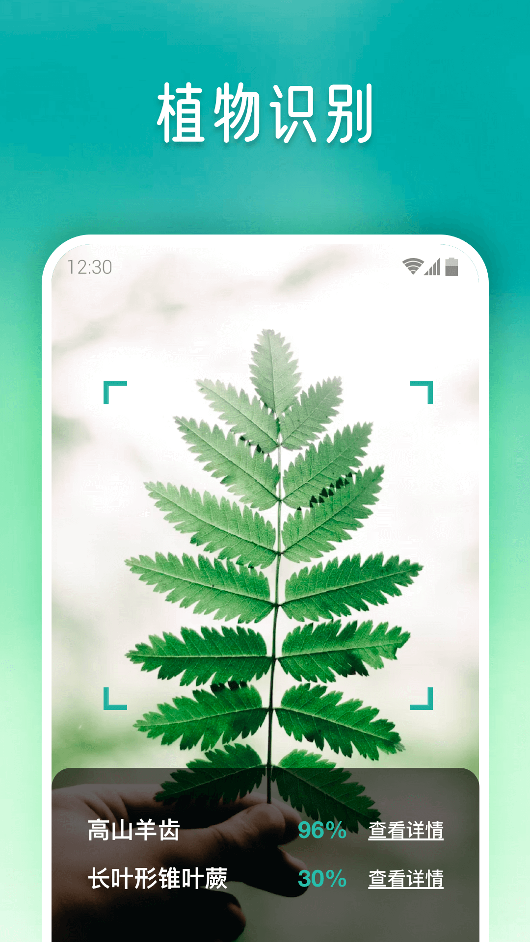 植物大师展示图1