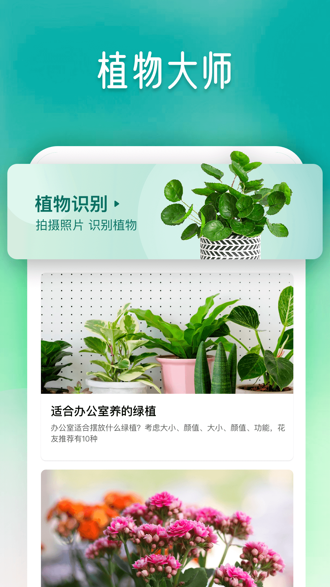 植物大师展示图4