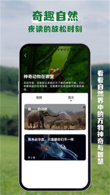 熊猫客展示图3