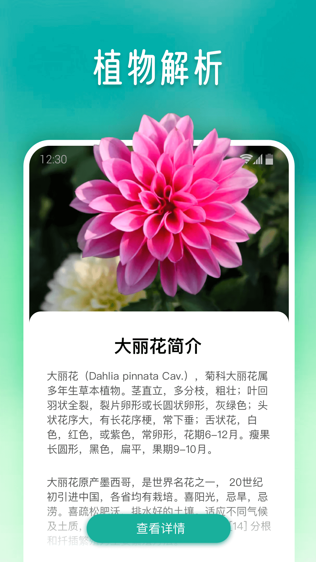 植物大师展示图2