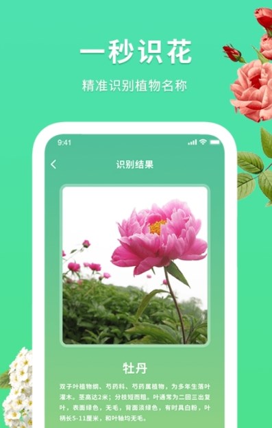 花伴识别展示图1