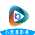 小黑盒影视2024最新版