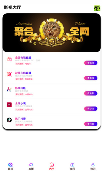 瑞旗影视手机2024最新版展示图2
