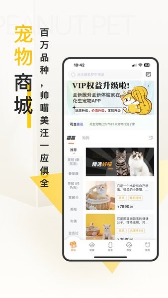 花生宠物展示图2