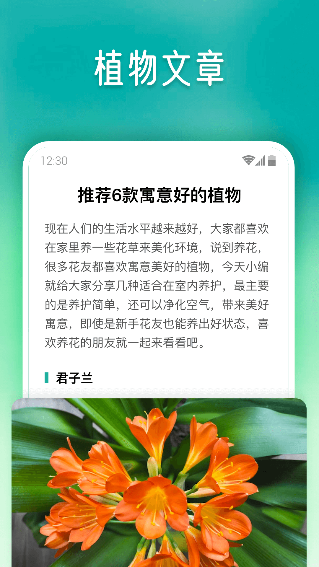 植物大师展示图3