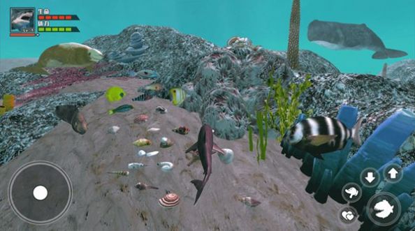 海底大求生展示图1