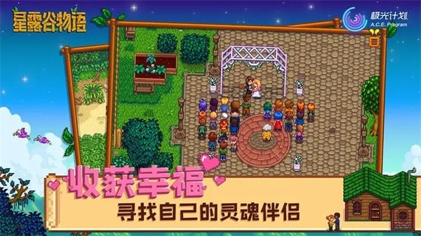 星露谷物语内置修改菜单版展示图5