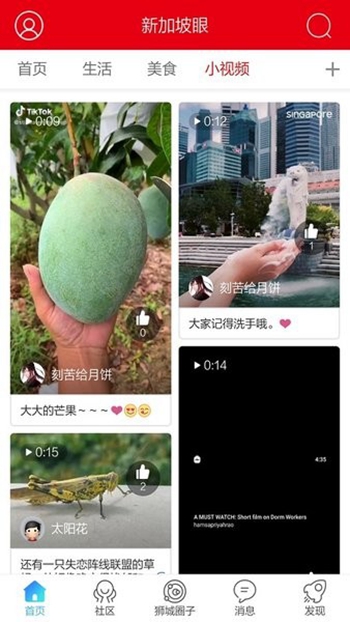 新加坡眼展示图2