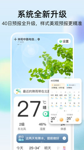 竹雨天气展示图1