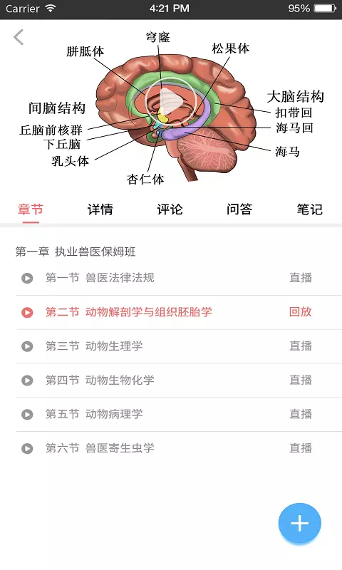 兽课网app展示图2