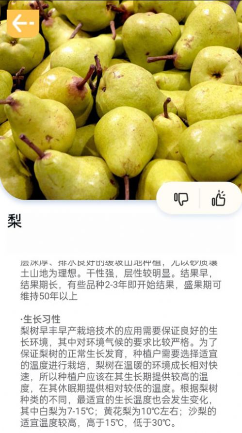 百果日记展示图3