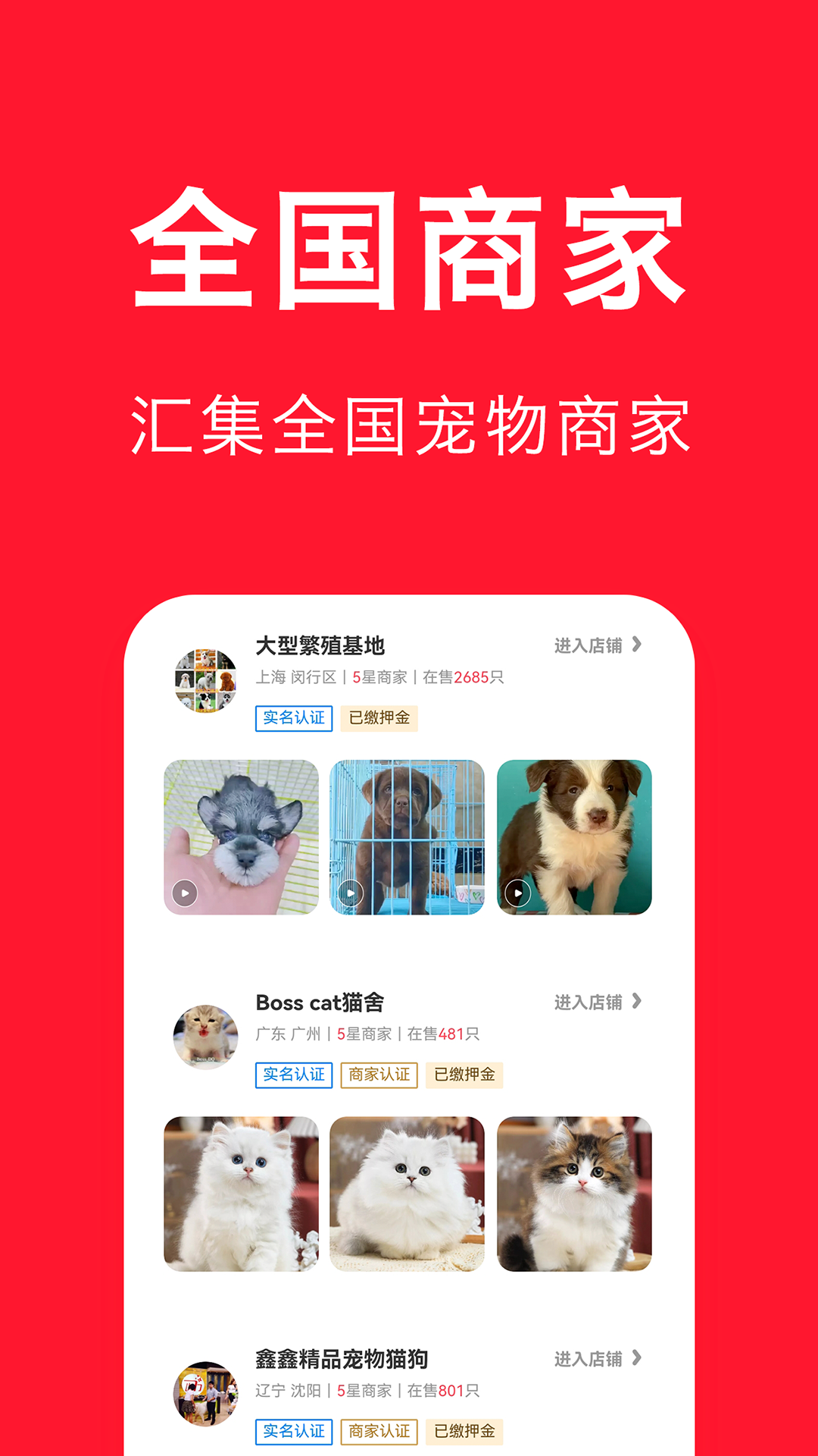 宠物宝app展示图3