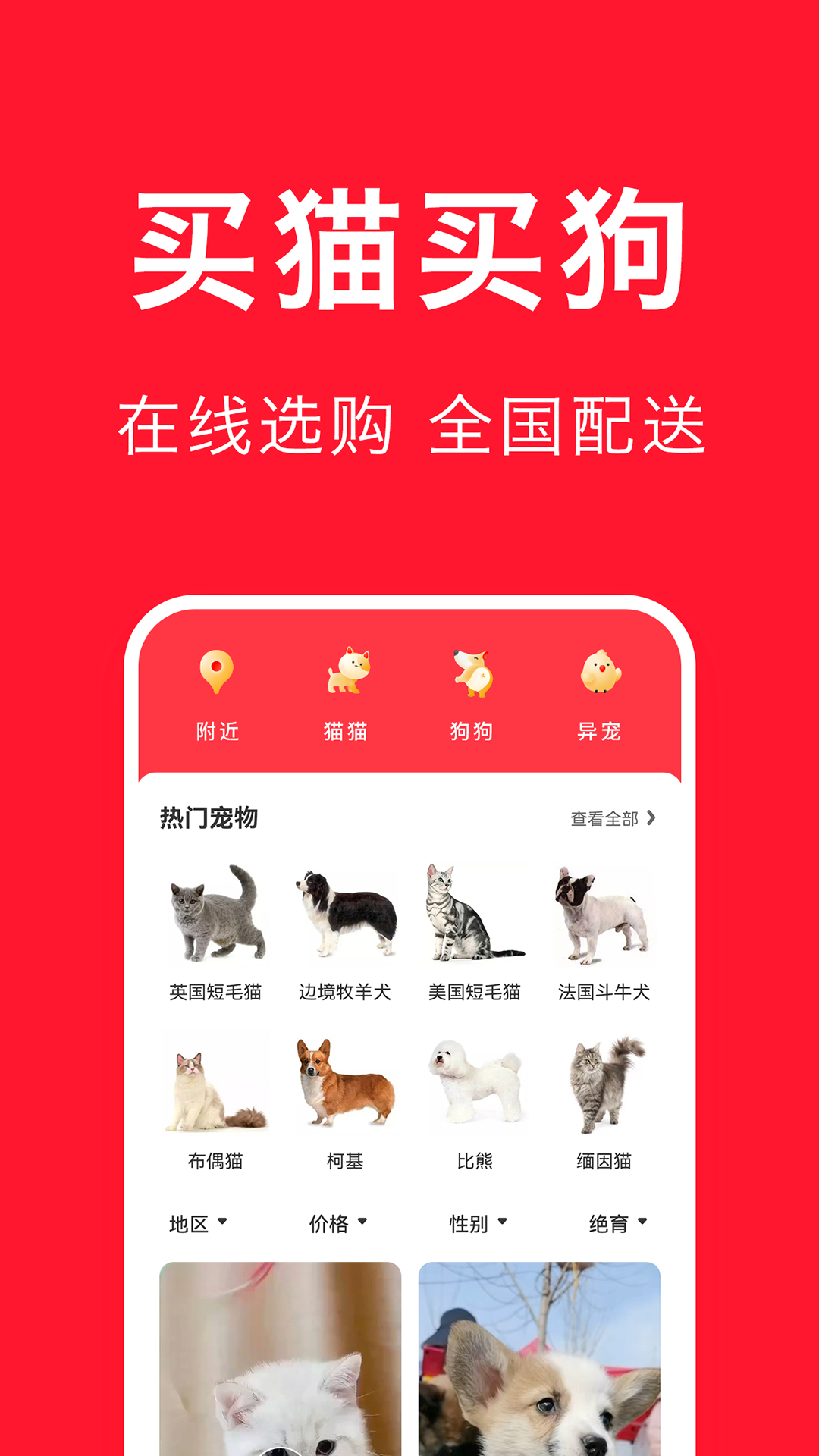 宠物宝app展示图1