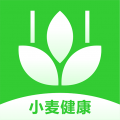 小麦健康app