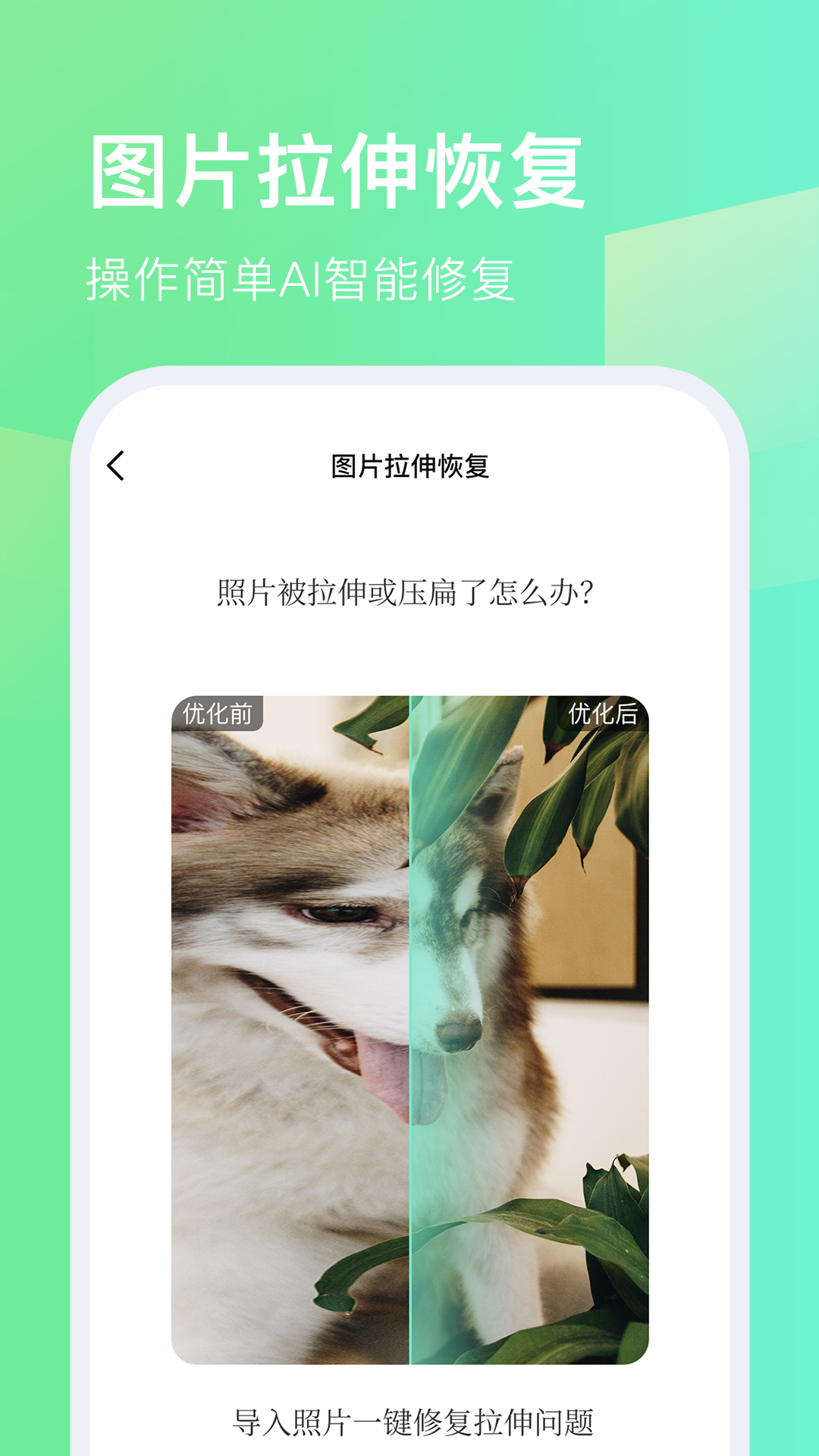 今天拍水印相机展示图2