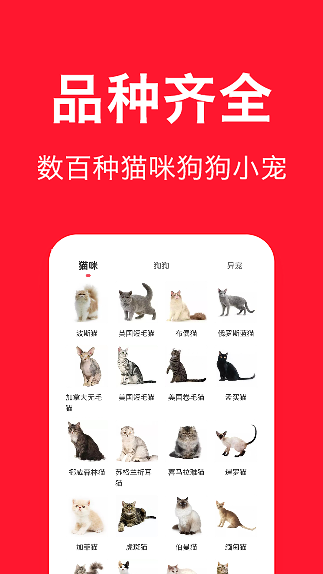 宠物宝app展示图4
